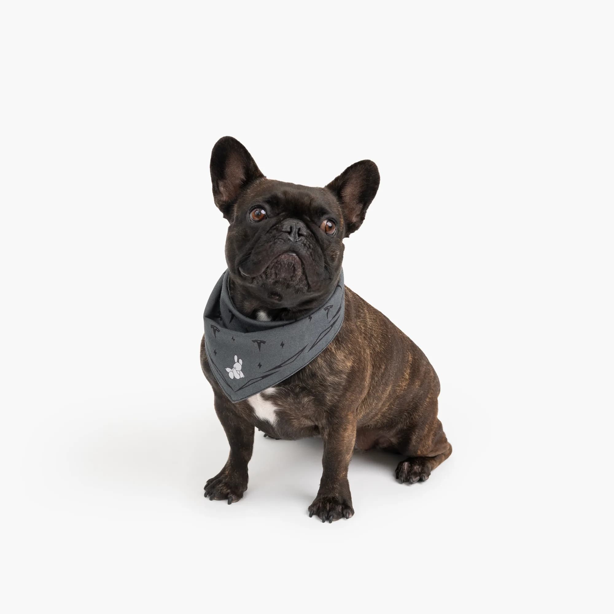 Dog Mode Bandana
